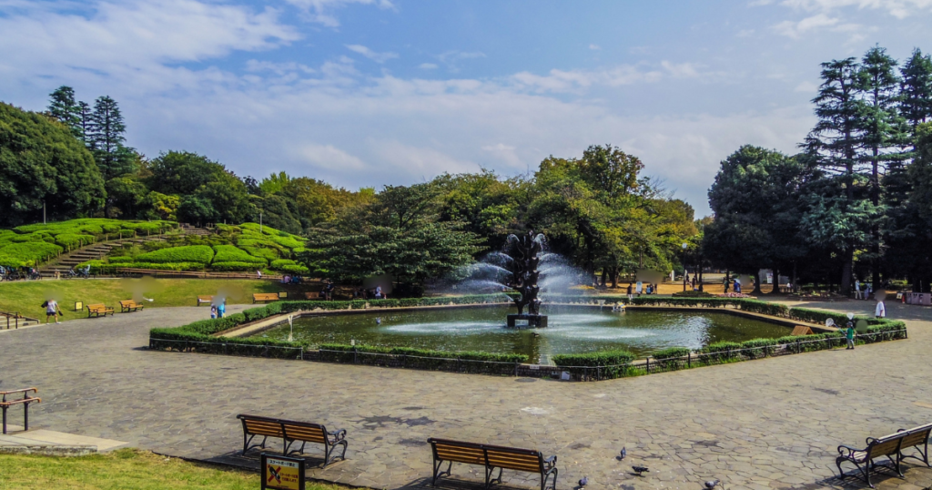 世田谷公園の噴水広場